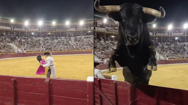 Filmer schijt zeven kleuren wanneer stier plots over de afscheiding springt in Murcia
