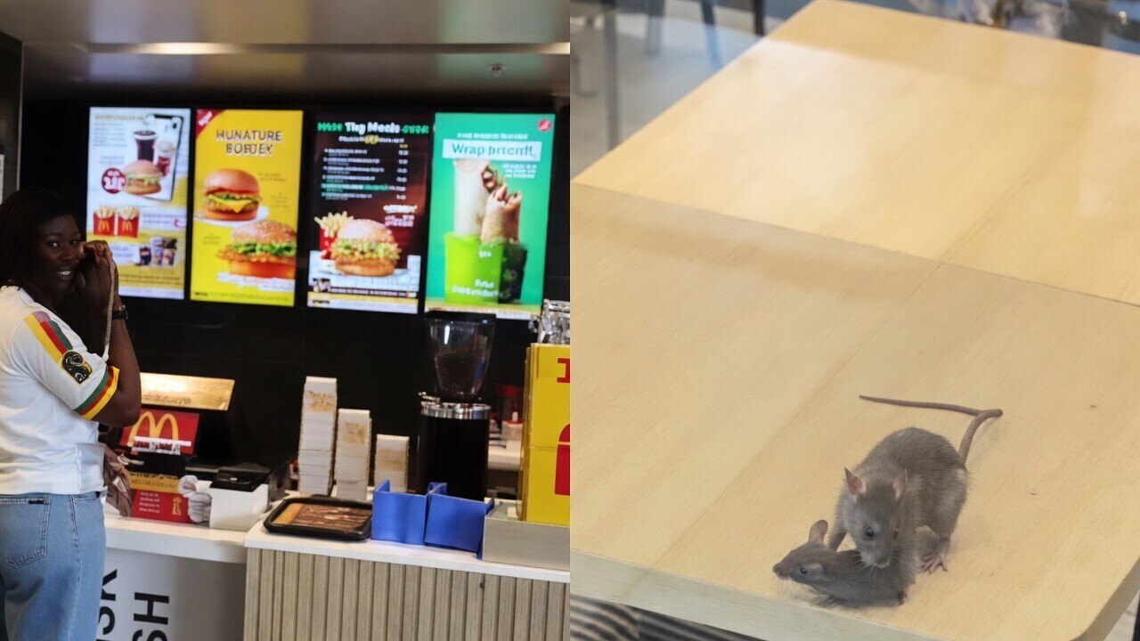 Eet smakelijk: Ratten maken het reuzegezellig op tafel in Indiase McDonald's