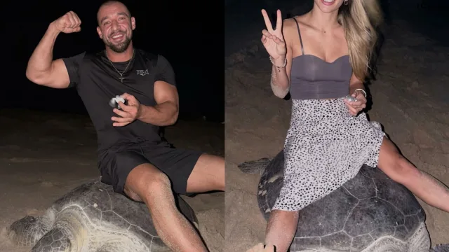 Boosheid over influencer op schildpad: "Hij houdt zelfs een babyschildpad vast"