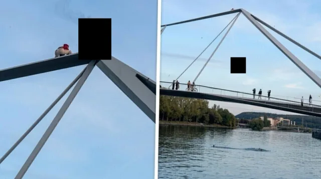 Man springt brandend van 23 meter hoge brug in Luik, politie onderzoekt stunt